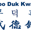 Internationally Certified Instructor At Every Moo Duk Kwan School