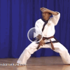 The Soo Bahk Do Institute Fast Forwards And Rewinds Videos